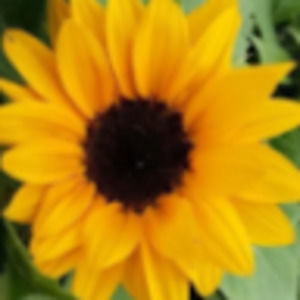 Meet your Posher, Marissa